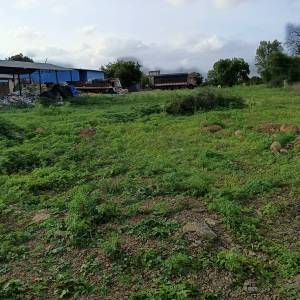 MARKET_YARD_ANI_VYAPARI_BHUKHNAD_original