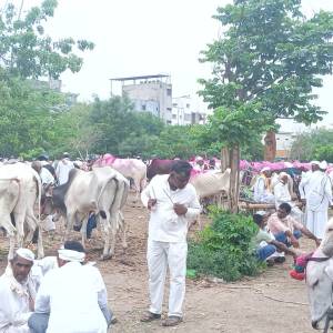 bail_bajar_4_original