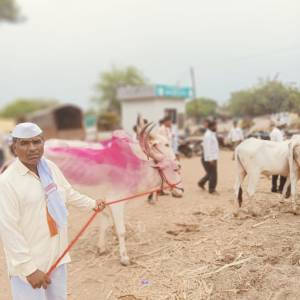 bail_bajar_6_original