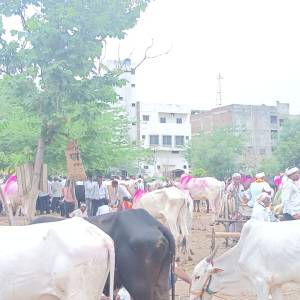 bail_bajar_7_original