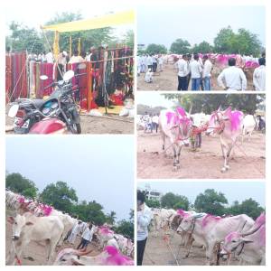 jnavre_bajar_original