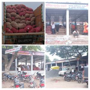 kanda_market_original