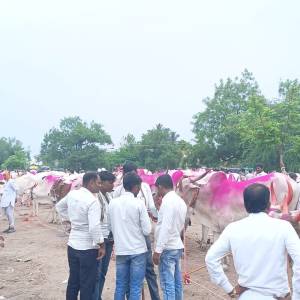 bail_bajar_2_original